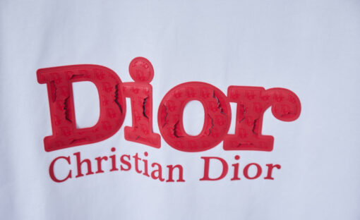 Dior Ripped Logo T-Shirt / White - Afbeelding 13
